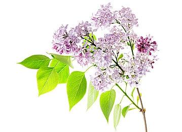 繁中版《超时空要塞：Shooting Insight》夏季发售 PS及Switch平台